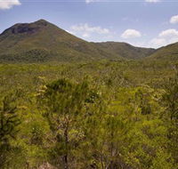 Kutini-Payamu Iron Range National Park CYPAL - Stayed