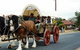The Trek Wagon Walla Walla - thumb 1