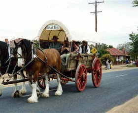 The Trek Wagon Walla Walla - Stayed 1