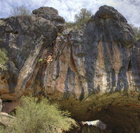 Borenore Karst Conservation Reserve - Stayed