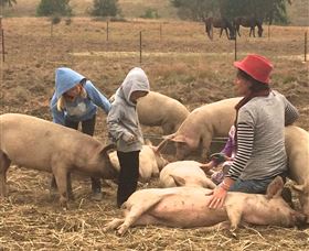Springview Eco-Farm - Stayed 2
