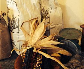 Cootamundra NSW Stayed