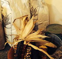 Buronga Organics - Coota - Stayed