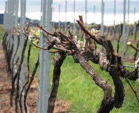 Stockmans Ridge Wines - Stayed 2