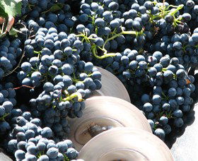 Orange Mountain Wines - Stayed 2