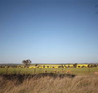 Cootamundra Bird Walk - Stayed