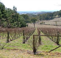 Habitat Vineyard - Stayed