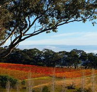 Bloodwood Estate - Stayed