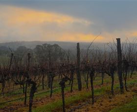 Bloodwood Estate - Stayed 1