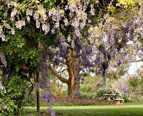 Wombat Heights Orchard And Grog Shed - Stayed 2