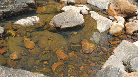 Mount Canobolas State Conservation Area - Stayed 2