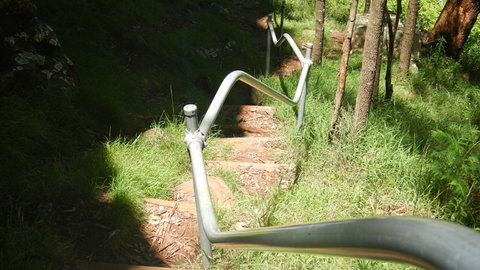 Mount Canobolas State Conservation Area - Stayed 1