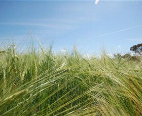 150 Degrees East Meridian - Stayed 0