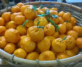 Hillside Orchard - Stayed 1