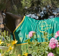 Living Legends The International Home of Rest for Champion Horses - Stayed