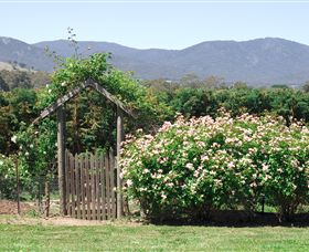 Samaria Farm - Stayed 2