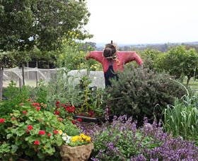 Samaria Farm - Stayed 4