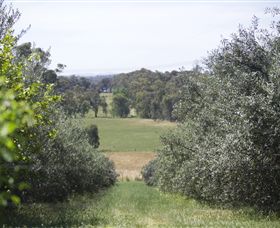 Samaria Farm - Stayed 7