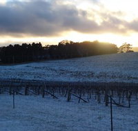 Charles Sturt University Winery - Stayed