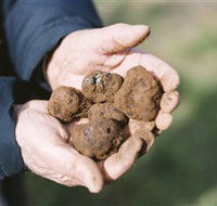 A Slice of Orange - Stayed