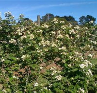 Huntley Berry Farm - Stayed