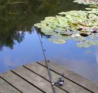 Ophir Reserve - Stayed