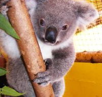 Cooberrie Park Wildlife Sanctuary - Stayed