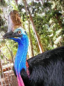 Cooberrie Park Wildlife Sanctuary - Stayed 1