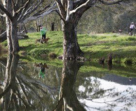 Albury - Murray River Precinct - Stayed 3