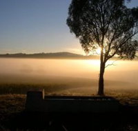 Patina Wines - Stayed