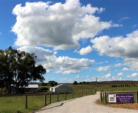 Short Sheep Micro-Winery - Stayed 8