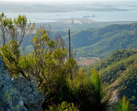 Mount Larcom Climb - Stayed 1