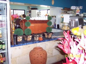 Warwicks Gardens Galore - Stays Accommodation 2