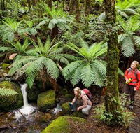 Baw Baw National Park - Stayed