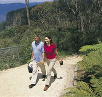 Blue Mountains Walking Tracks - Stayed