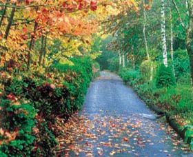 Mount Wilson And Mount Irvine - Stayed 0