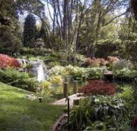 Windyridge Garden Mount Wilson - Stayed
