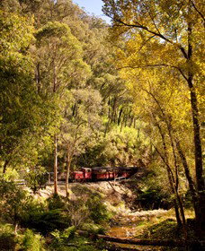 Walhalla Goldfields Railway - Stayed 3