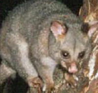 Moondarra State Park - Stayed