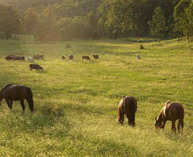Chapman Valley Horse Riding - Stays Accommodation 4