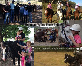 Chapman Valley Horse Riding - Stays Accommodation 5