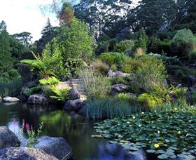 Blue Mountains Botanic Garden - Stayed 1