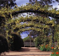 Blue Mountains Botanic Garden - Stayed
