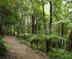 Blue Mountains Botanic Garden - Stayed 3
