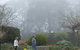 Blue Mountains Botanic Garden - thumb 6