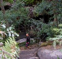 Leura Cascades Fern Bower - Stayed