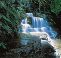 Leura Cascades - Stayed