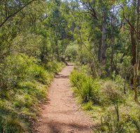 Mares Forest Creek walking track - Stayed