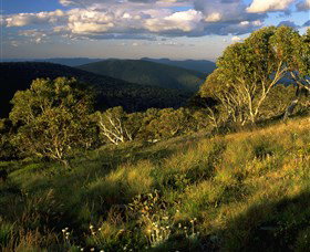 Namadgi National Park And Visitors Centre - Stayed 2