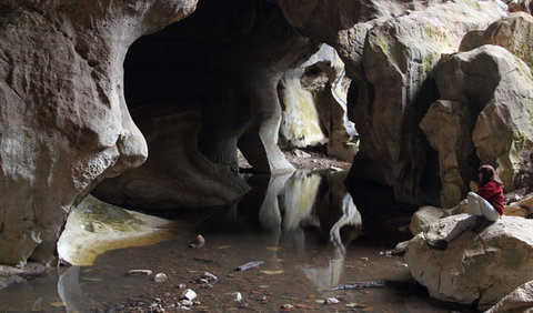 Fig Tree Cave - Stayed 2